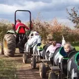 Helene's Hilltop Orchard photo