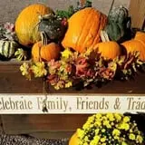 Helene's Hilltop Orchard photo
