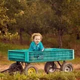 Helene's Hilltop Orchard photo