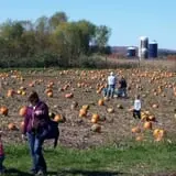 Helene's Hilltop Orchard photo