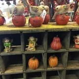 Zywiec's Landscape & Garden Center photo