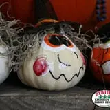 Zywiec's Landscape & Garden Center photo