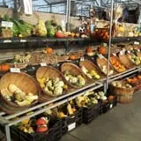 Zywiec's Landscape & Garden Center photo