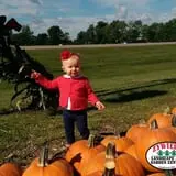 Zywiec's Landscape & Garden Center photo
