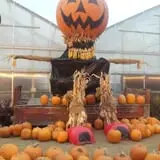 Zywiec's Landscape & Garden Center photo