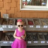 Zywiec's Landscape & Garden Center photo
