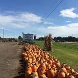 Zywiec's Landscape & Garden Center photo
