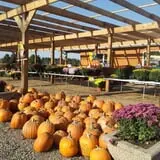 Zywiec's Landscape & Garden Center photo