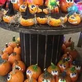 Zywiec's Landscape & Garden Center photo