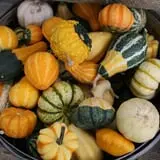 Zywiec's Landscape & Garden Center photo