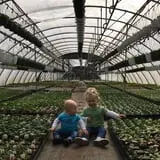 Zywiec's Landscape & Garden Center photo