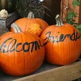 Zywiec's Landscape & Garden Center photo