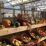 Zywiec's Landscape & Garden Center photo