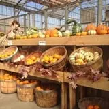 Zywiec's Landscape & Garden Center photo