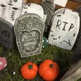 Zywiec's Landscape & Garden Center photo