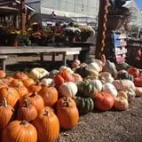 Zywiec's Landscape & Garden Center photo