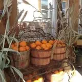 Zywiec's Landscape & Garden Center photo