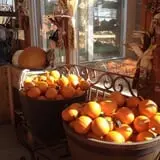 Zywiec's Landscape & Garden Center photo