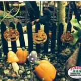 Zywiec's Landscape & Garden Center photo