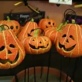 Zywiec's Landscape & Garden Center photo