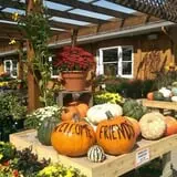 Zywiec's Landscape & Garden Center photo