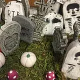 Zywiec's Landscape & Garden Center photo