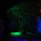 Wicked Wraith Haunted House photo