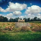 Grisamore Farms photo