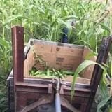 Grisamore Farms photo