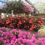 Grisamore Farms photo