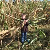 Grisamore Farms photo