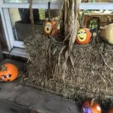 Grisamore Farms photo