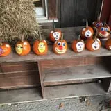 Grisamore Farms photo