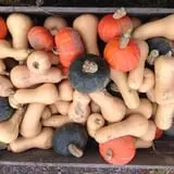 Grisamore Farms photo