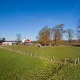 Grisamore Farms photo