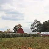 Grisamore Farms photo