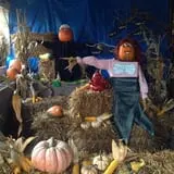 Grisamore Farms photo