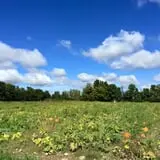 Grisamore Farms photo