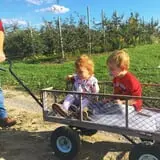 Grisamore Farms photo