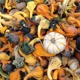 Grisamore Farms photo