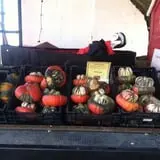 Faircrest Farm Produce photo