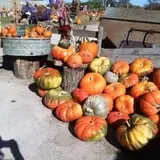 Faircrest Farm Produce photo