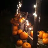 Faircrest Farm Produce photo