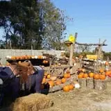 Faircrest Farm Produce photo