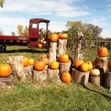 Faircrest Farm Produce photo