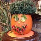 Faircrest Farm Produce photo