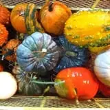 Faircrest Farm Produce photo