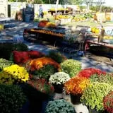 Faircrest Farm Produce photo