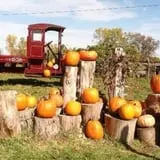 Faircrest Farm Produce photo