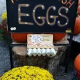 Faircrest Farm Produce photo